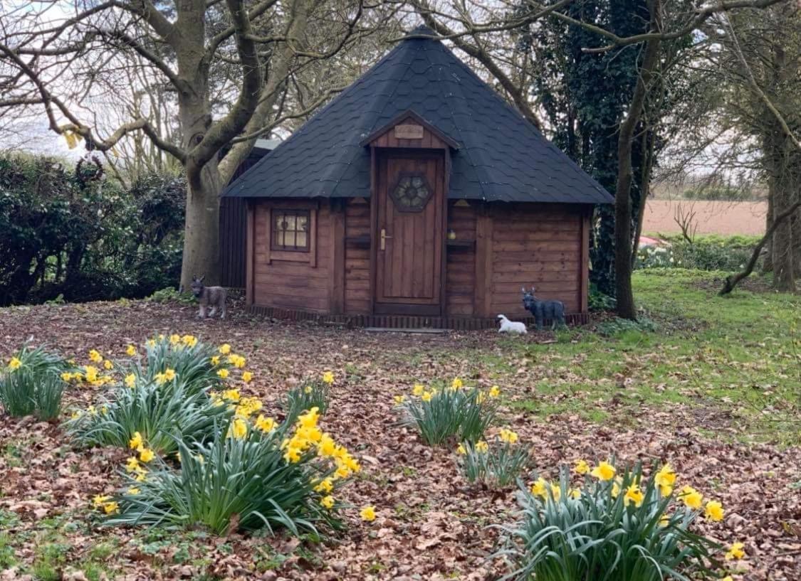 Starry Meadow & Rescued Animal Experiences Villa Great Yarmouth Bagian luar foto