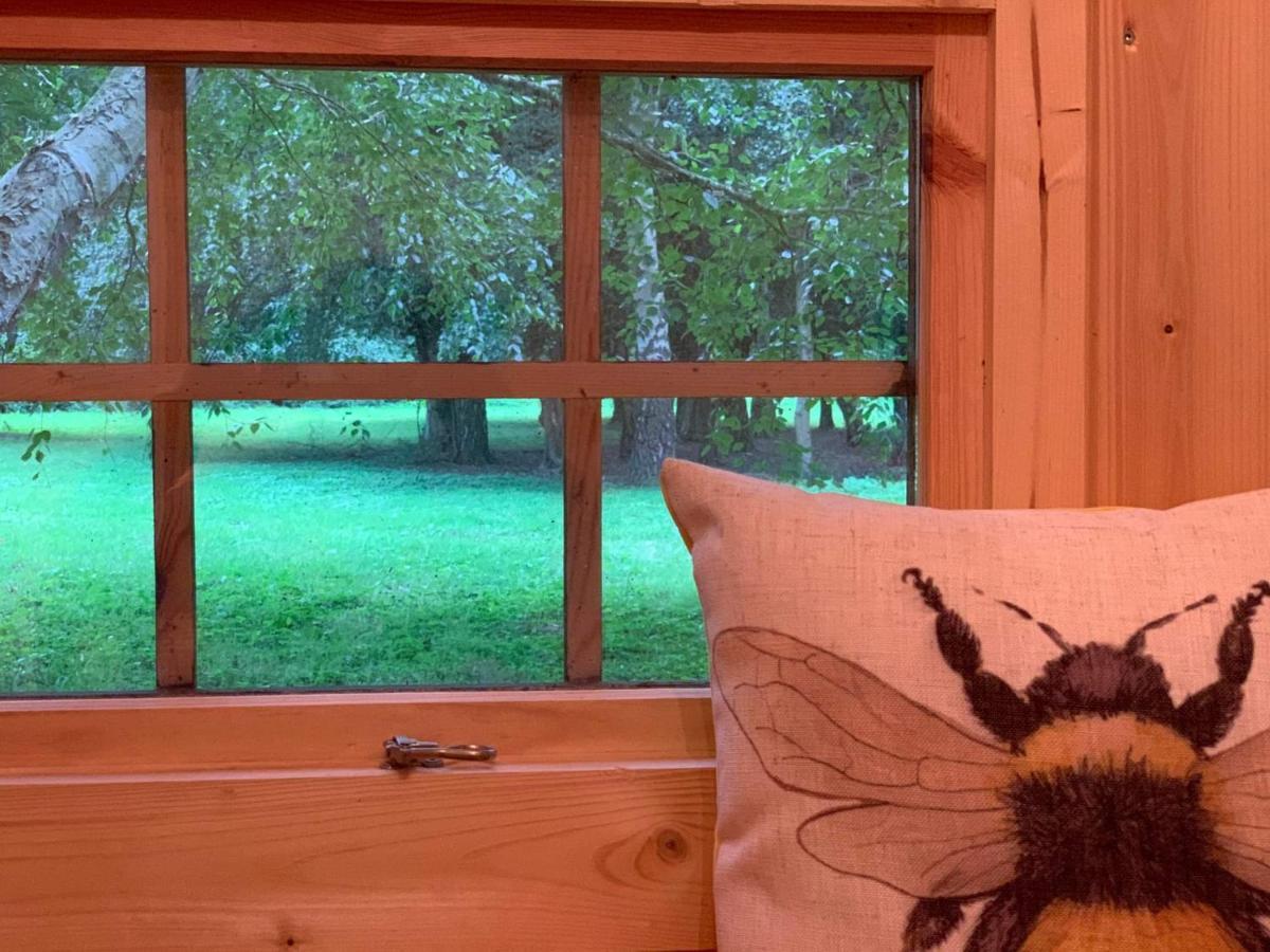 Starry Meadow & Rescued Animal Experiences Villa Great Yarmouth Bagian luar foto