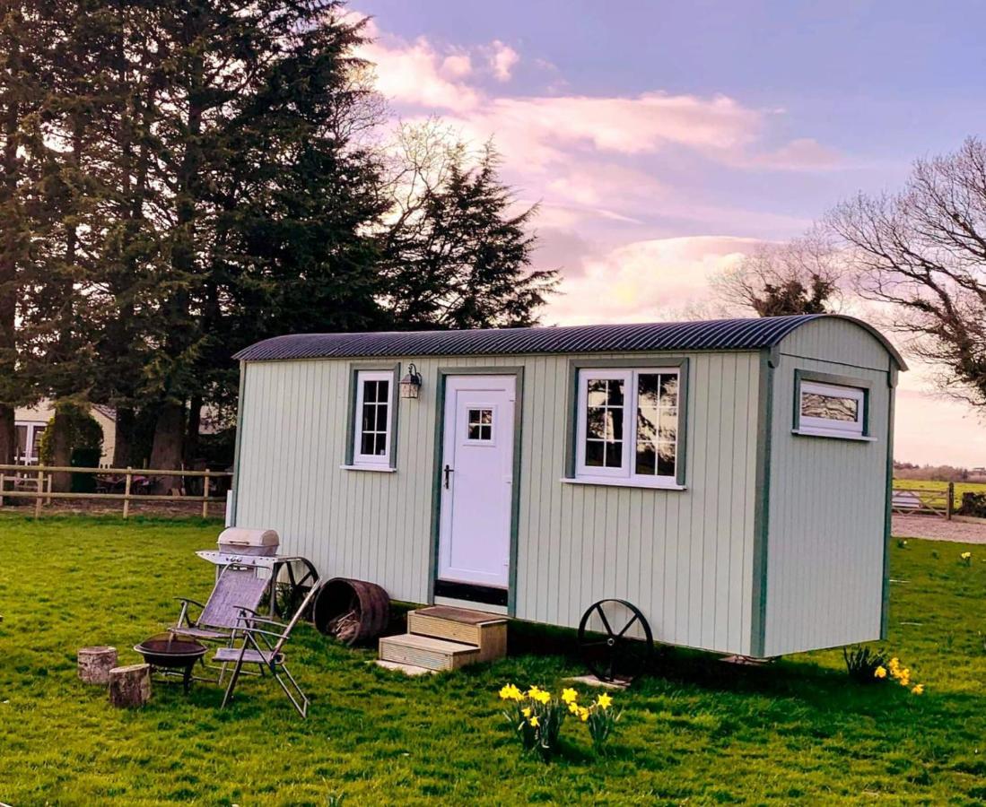 Starry Meadow & Rescued Animal Experiences Villa Great Yarmouth Bagian luar foto
