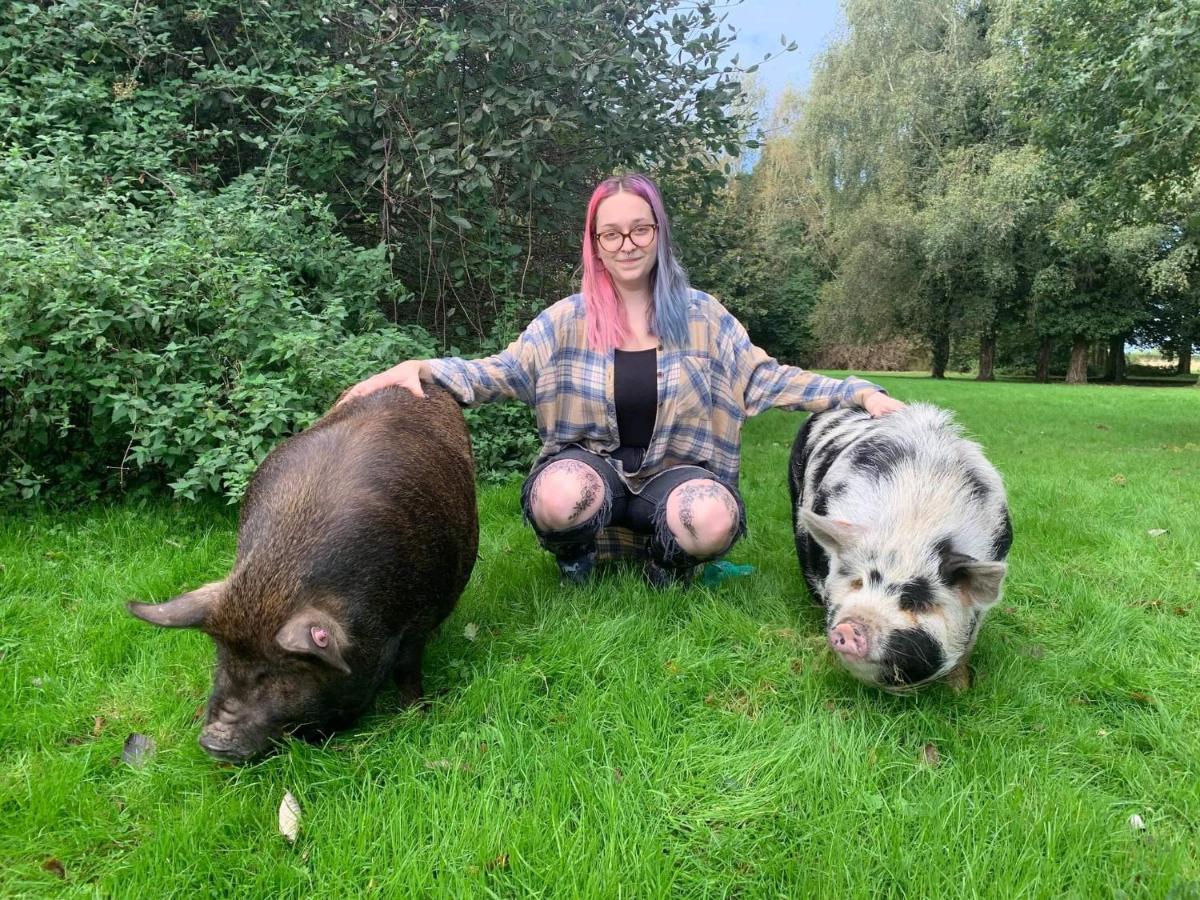 Starry Meadow & Rescued Animal Experiences Villa Great Yarmouth Bagian luar foto