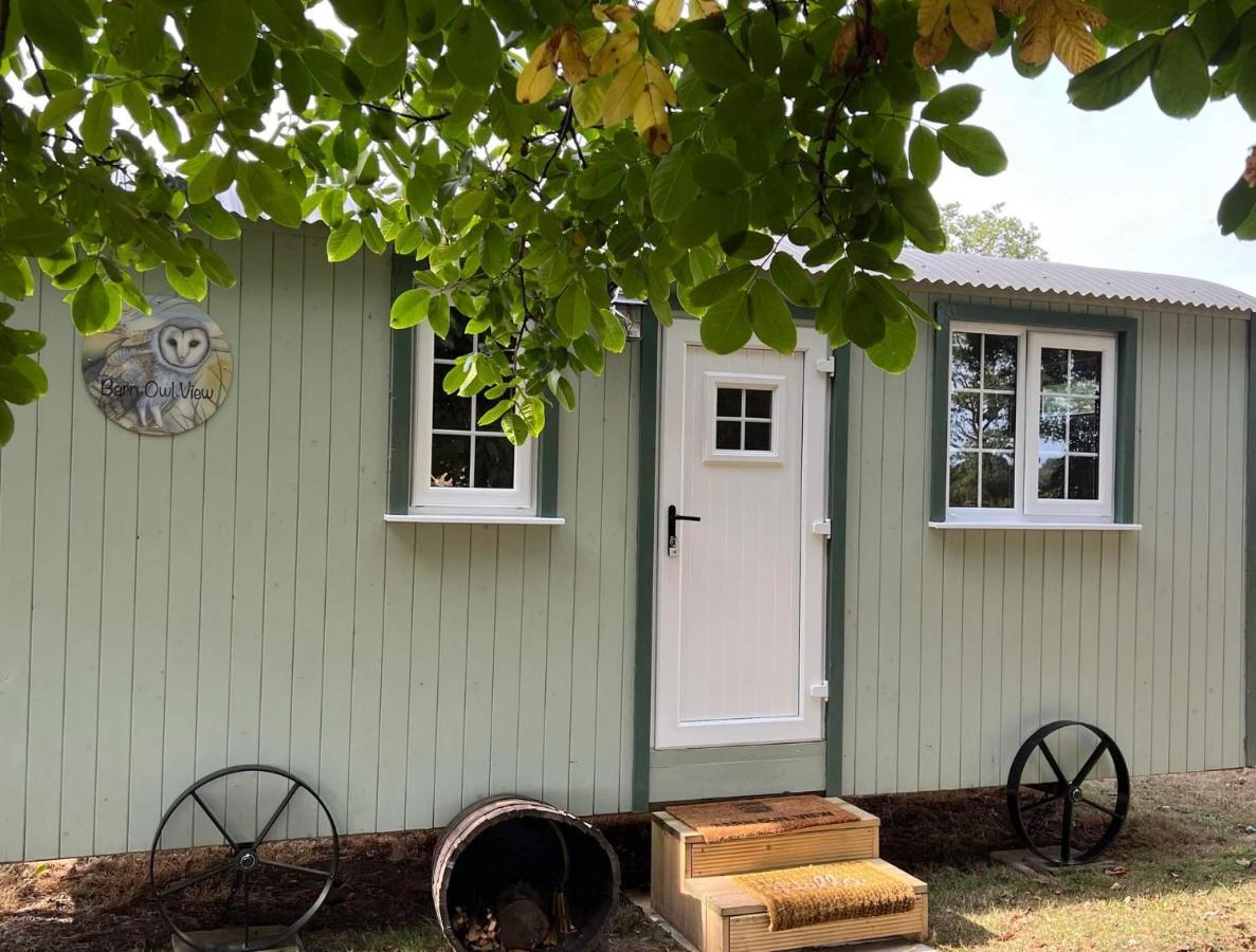 Starry Meadow & Rescued Animal Experiences Villa Great Yarmouth Ruang foto