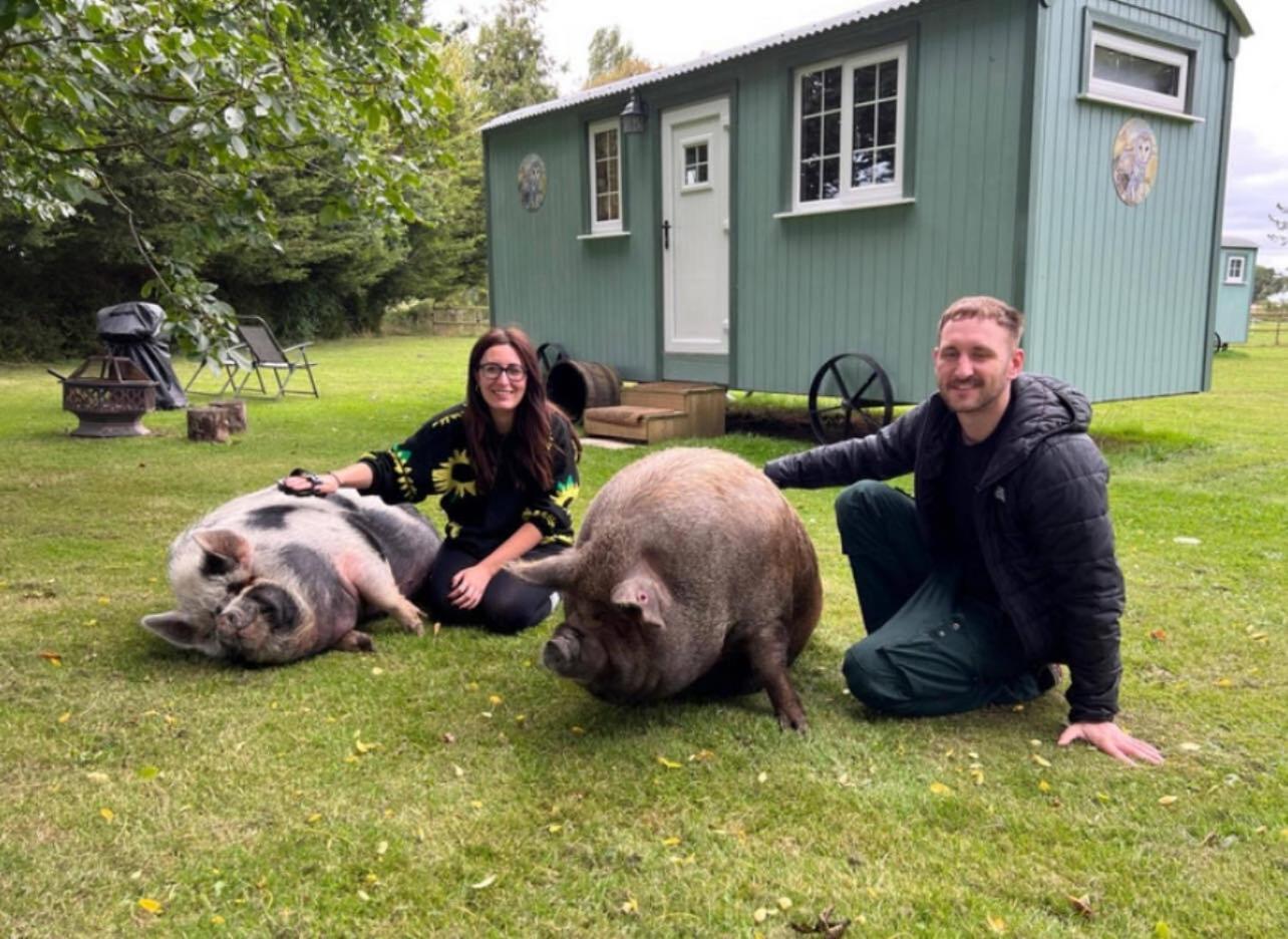 Starry Meadow & Rescued Animal Experiences Villa Great Yarmouth Bagian luar foto