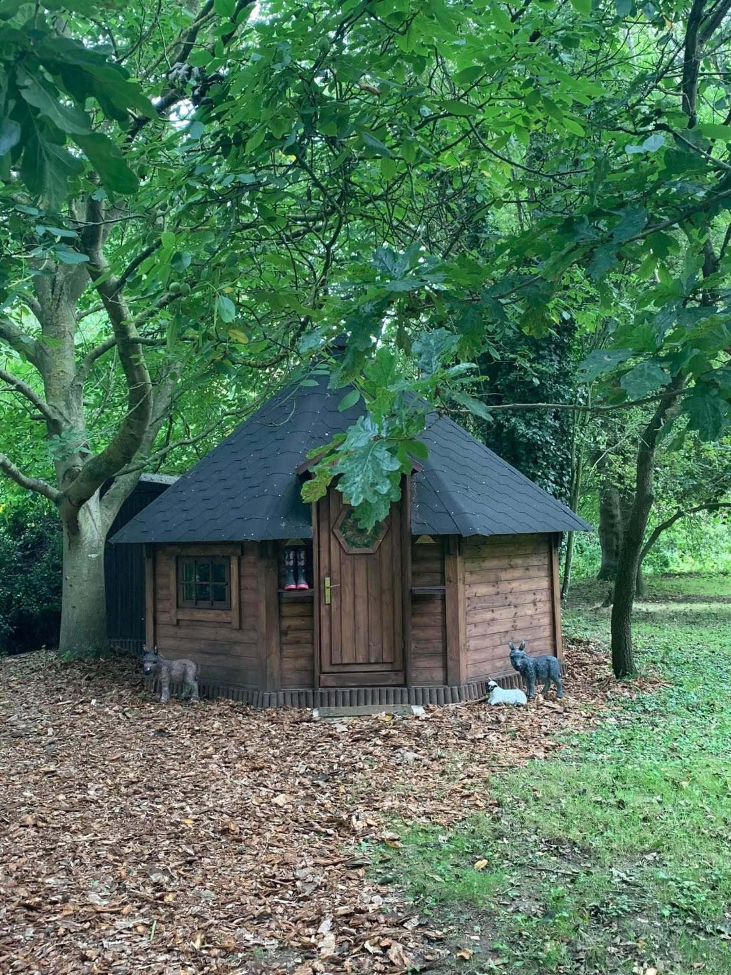 Starry Meadow & Rescued Animal Experiences Villa Great Yarmouth Ruang foto